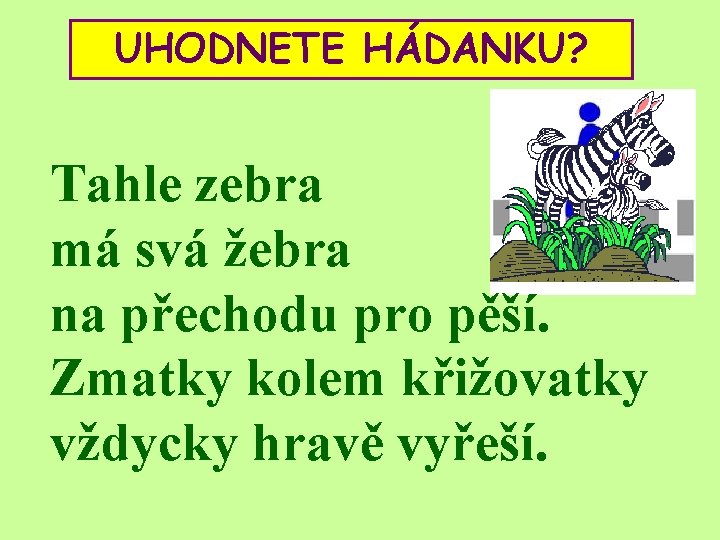 UHODNETE HÁDANKU? Tahle zebra má svá žebra na přechodu pro pěší. Zmatky kolem křižovatky