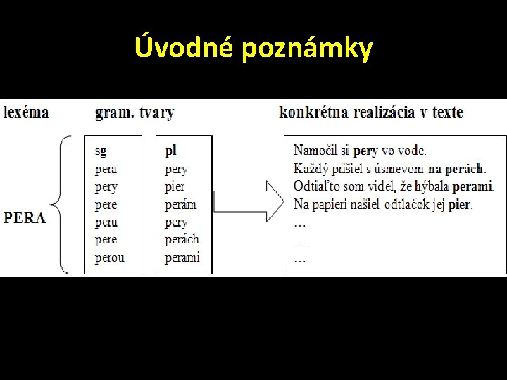 Úvodné poznámky 