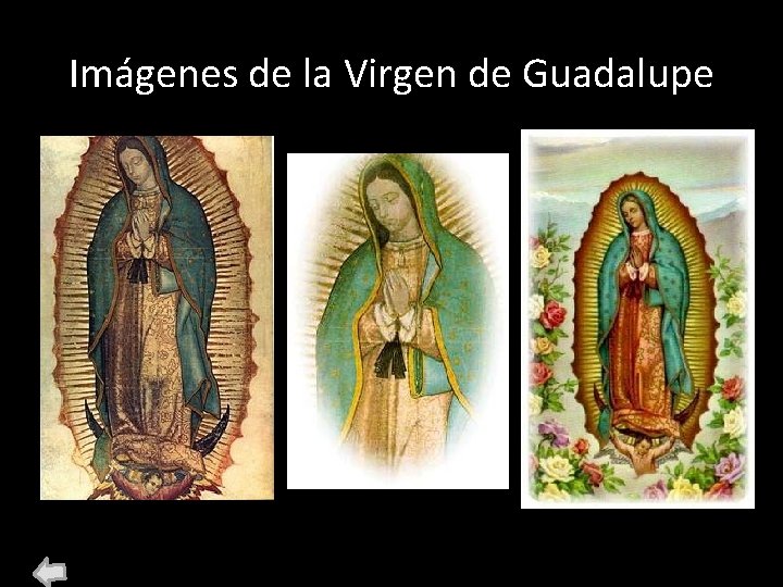 Imágenes de la Virgen de Guadalupe Imágenes de la Virgen de Guadalupe