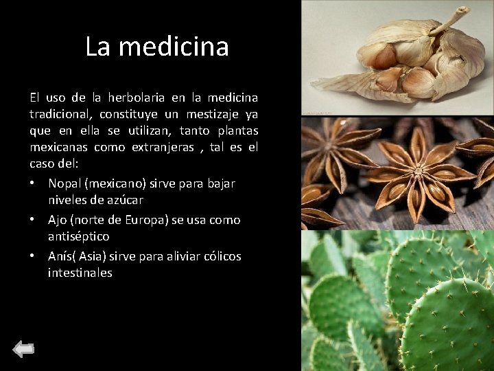 La medicina El uso de la herbolaria en la medicina tradicional, constituye un mestizaje La medicina El uso de la herbolaria en la medicina tradicional, constituye un mestizaje