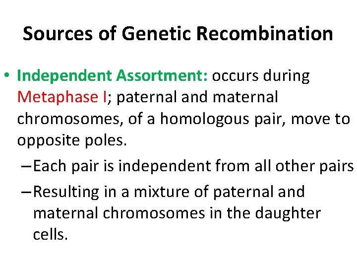 Sources of Genetic Recombination • Independent Assortment: occurs during Metaphase I; paternal and maternal
