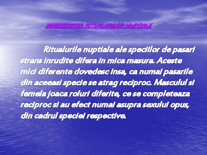 DIVERSITATEA RITUALURILOR NUPTIALE Ritualurile nuptiale speciilor de pasari strans inrudite difera in mica masura.