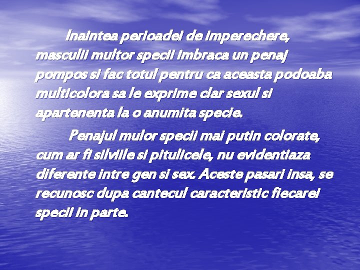  Inaintea perioadei de imperechere, masculii multor specii imbraca un penaj pompos si fac