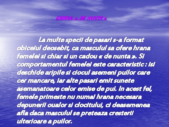 CADOUL « DE NUNTA » La multe specii de pasari s-a format obiceiul deosebit,