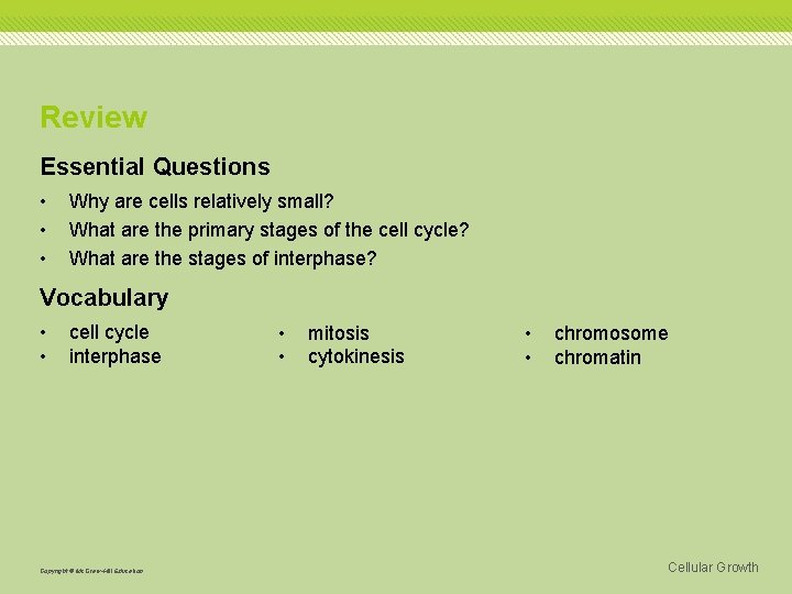 Review Essential Questions • • • Why are cells relatively small? What are the