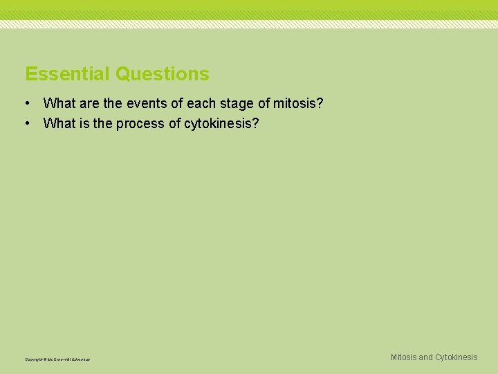 Essential Questions • What are the events of each stage of mitosis? • What