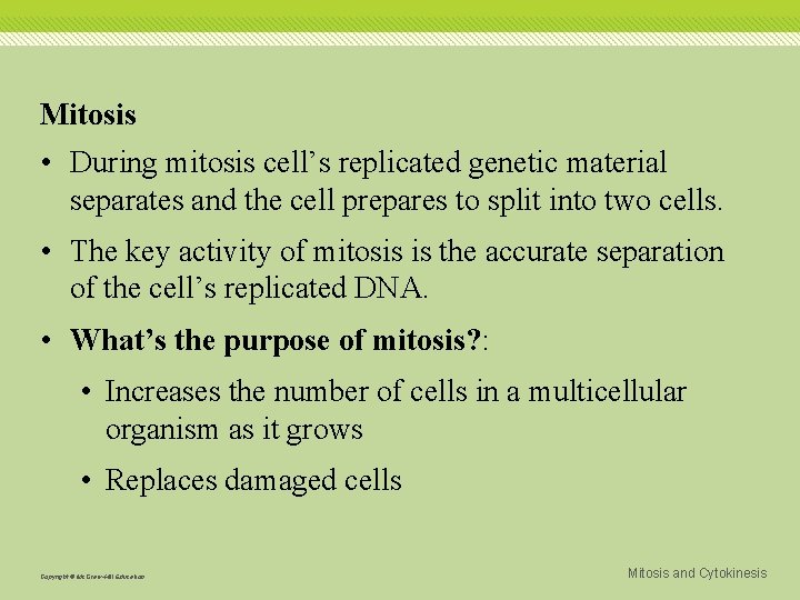Mitosis • During mitosis cell’s replicated genetic material separates and the cell prepares to