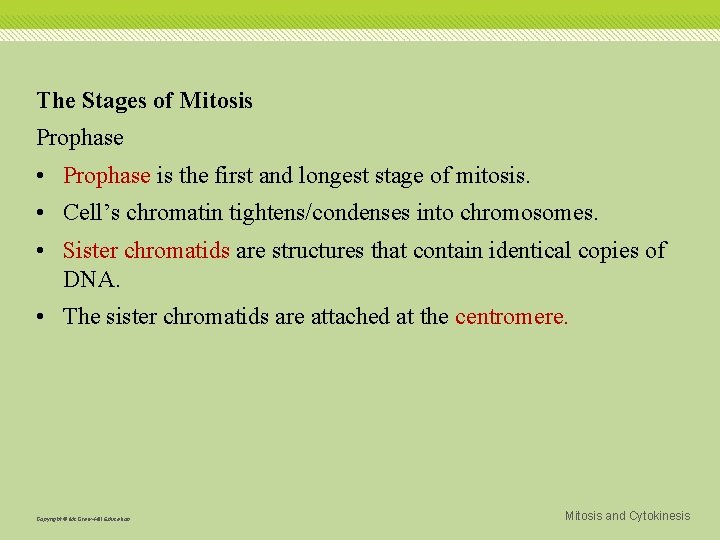 The Stages of Mitosis Prophase • Prophase is the first and longest stage of