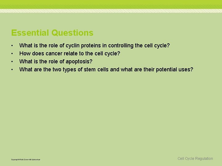 Essential Questions • • What is the role of cyclin proteins in controlling the