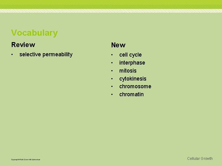 Vocabulary Review New • • selective permeability Copyright © Mc. Graw-Hill Education cell cycle