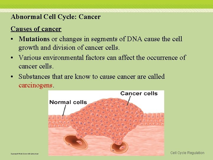 Abnormal Cell Cycle: Cancer Causes of cancer • Mutations or changes in segments of