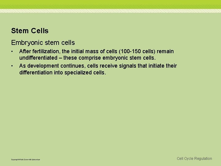 Stem Cells Embryonic stem cells • • After fertilization, the initial mass of cells