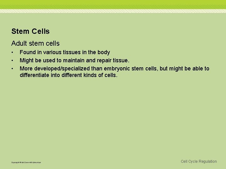 Stem Cells Adult stem cells • • • Found in various tissues in the