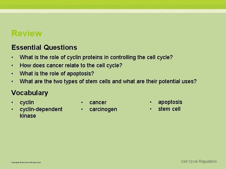 Review Essential Questions • • What is the role of cyclin proteins in controlling