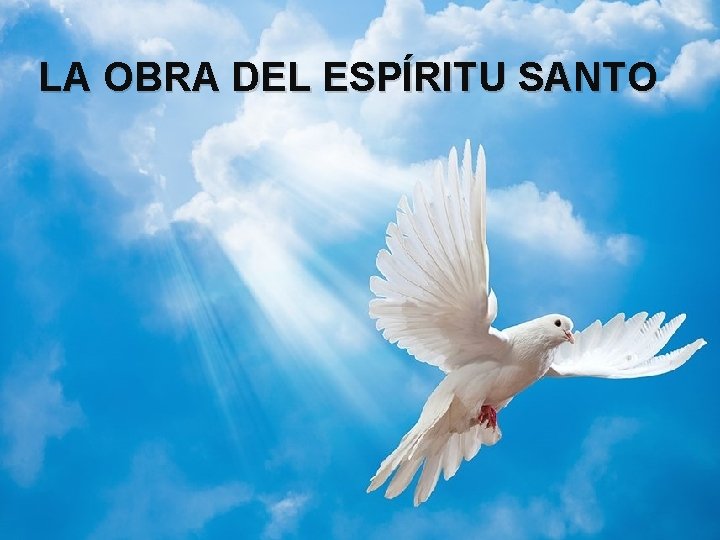 LA OBRA DEL ESPÍRITU SANTO 