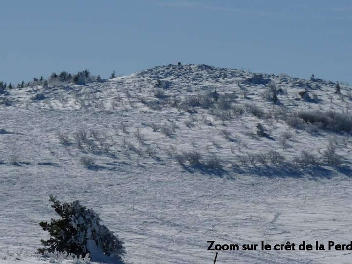 Zoom sur le crêt de la Perd 