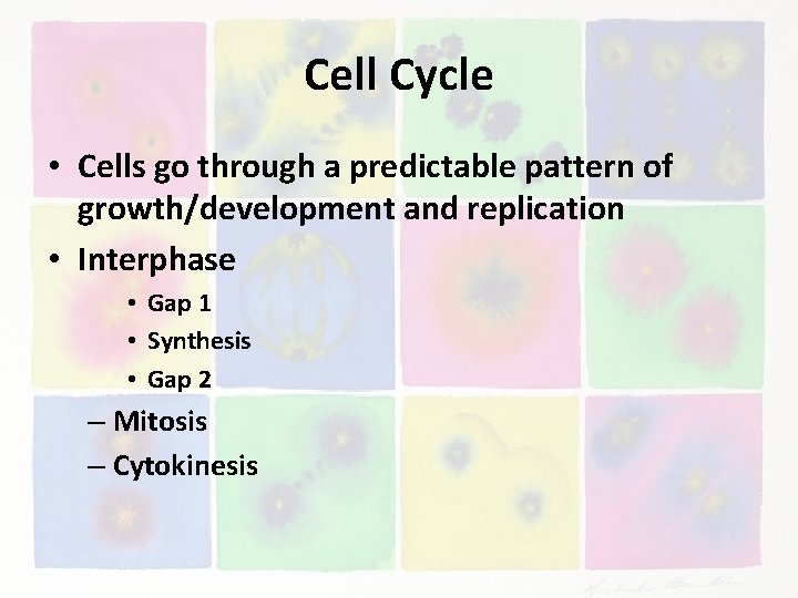 Cell Cycle • Cells go through a predictable pattern of growth/development and replication •