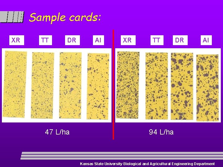 Sample cards: XR TT DR 47 L/ha AI XR TT DR AI 94 L/ha