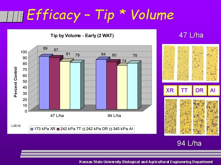 Efficacy – Tip * Volume 47 L/ha XR TT DR AI LSD=2 94 L/ha