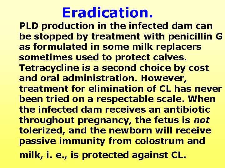 Eradication. PLD production in the infected dam can be stopped by treatment with penicillin