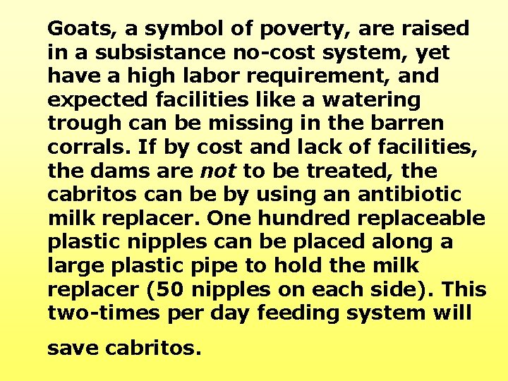 Goats, a symbol of poverty, are raised in a subsistance no-cost system, yet have Goats, a symbol of poverty, are raised in a subsistance no-cost system, yet have