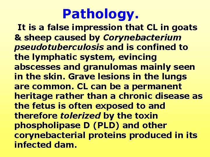 Pathology. It is a false impression that CL in goats & sheep caused by