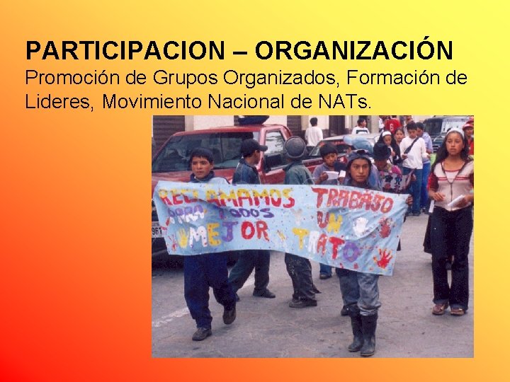 PARTICIPACION – ORGANIZACIÓN Promoción de Grupos Organizados, Formación de Lideres, Movimiento Nacional de NATs.