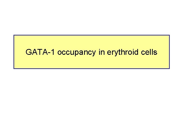 GATA-1 occupancy in erythroid cells 