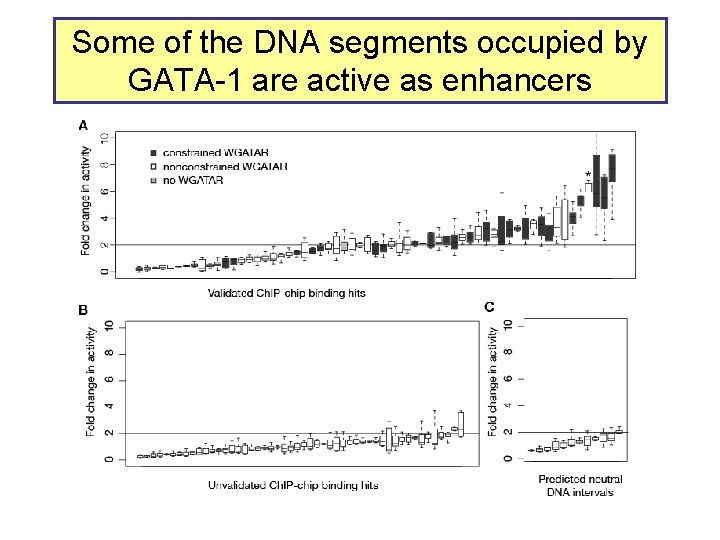 Some of the DNA segments occupied by GATA-1 are active as enhancers 