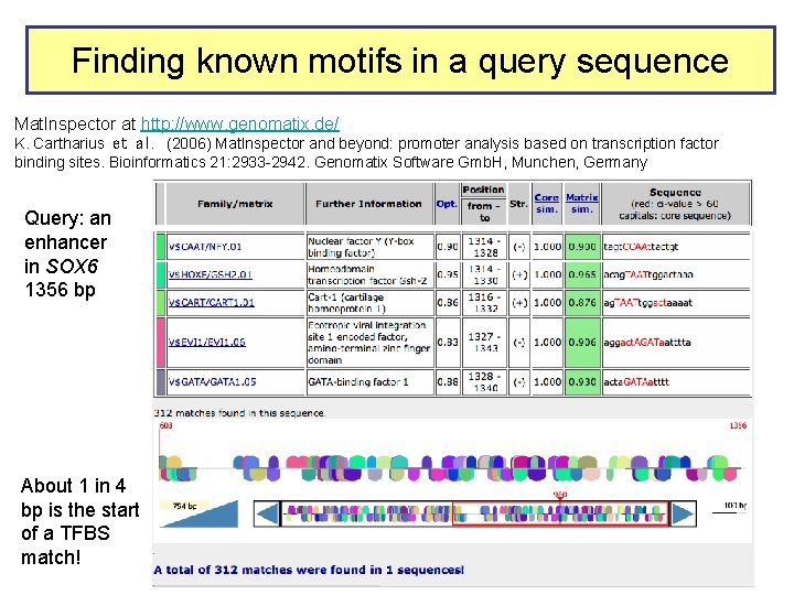 Finding known motifs in a query sequence Mat. Inspector at http: //www. genomatix. de/