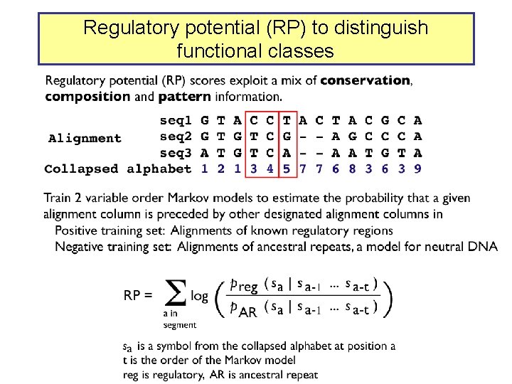 Regulatory potential (RP) to distinguish functional classes 