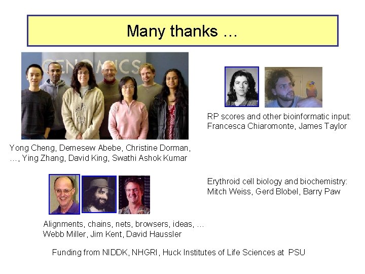Many thanks … RP scores and other bioinformatic input: Francesca Chiaromonte, James Taylor Yong