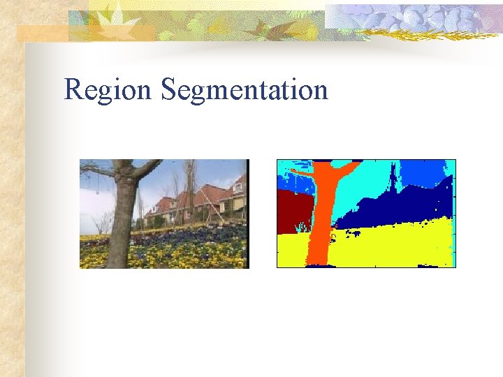 Region Segmentation 