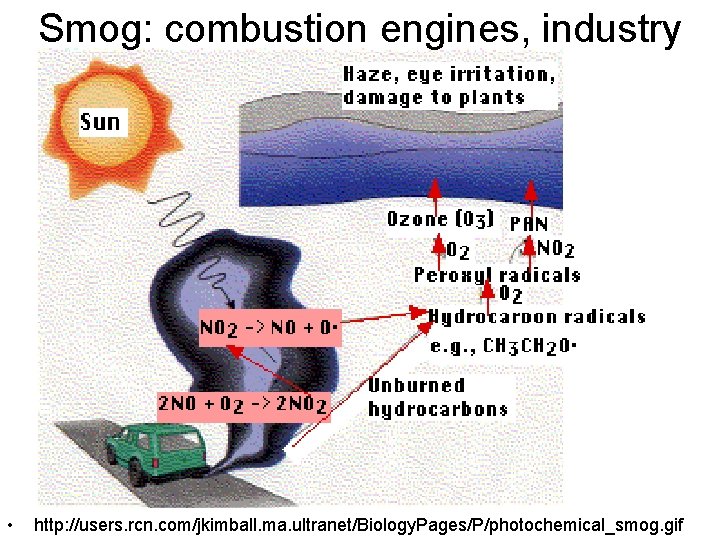 Smog: combustion engines, industry • http: //users. rcn. com/jkimball. ma. ultranet/Biology. Pages/P/photochemical_smog. gif 