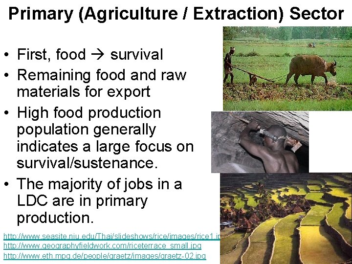 Primary (Agriculture / Extraction) Sector • First, food survival • Remaining food and raw