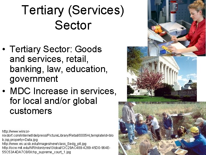 Tertiary (Services) Sector • Tertiary Sector: Goods and services, retail, banking, law, education, government