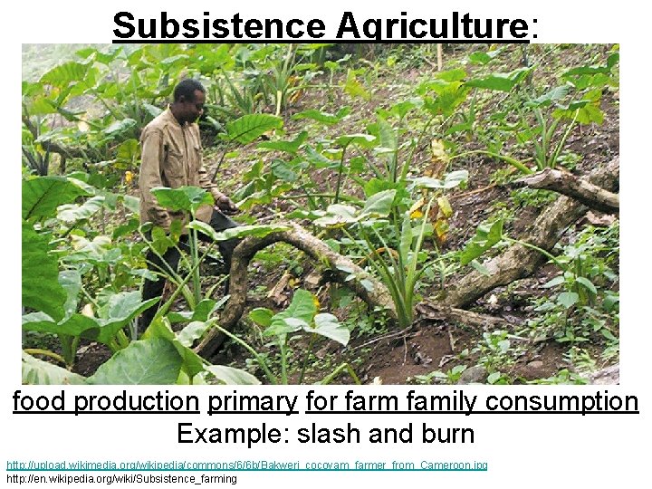 Subsistence Agriculture: food production primary for farm family consumption Example: slash and burn http: