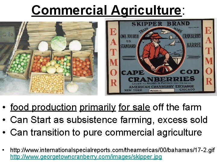 Commercial Agriculture: • food production primarily for sale off the farm • Can Start