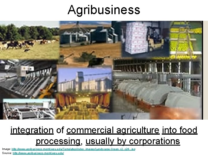 Agribusiness integration of commercial agriculture into food processing, usually by corporations Image: http: //www.