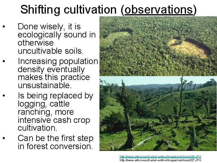 Shifting cultivation (observations) • • Done wisely, it is ecologically sound in otherwise uncultivable