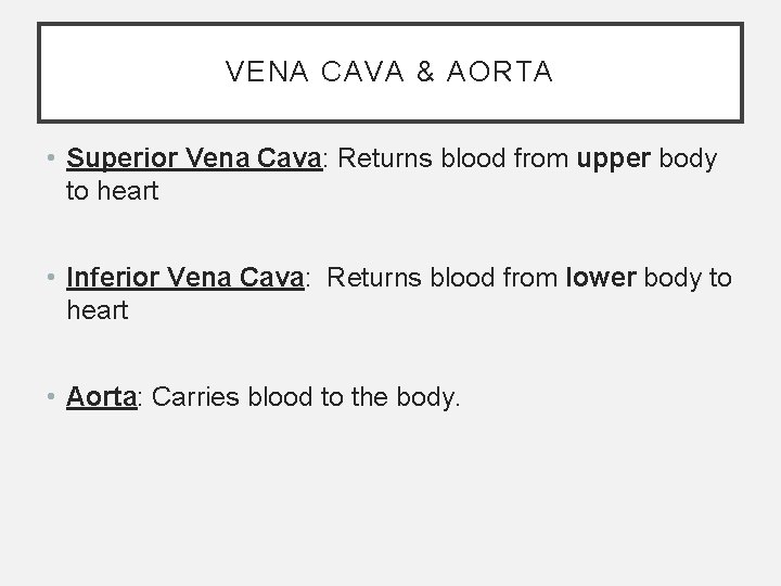 VENA CAVA & AORTA • Superior Vena Cava: Returns blood from upper body to