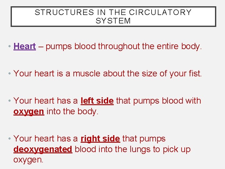 STRUCTURES IN THE CIRCULATORY SYSTEM • Heart – pumps blood throughout the entire body.