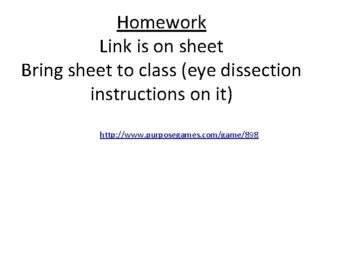 Homework Link is on sheet Bring sheet to class (eye dissection instructions on it) Homework Link is on sheet Bring sheet to class (eye dissection instructions on it)