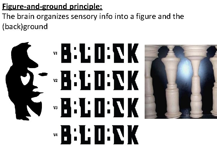 Figure-and-ground principle: The brain organizes sensory info into a figure and the (back)ground Figure-and-ground principle: The brain organizes sensory info into a figure and the (back)ground