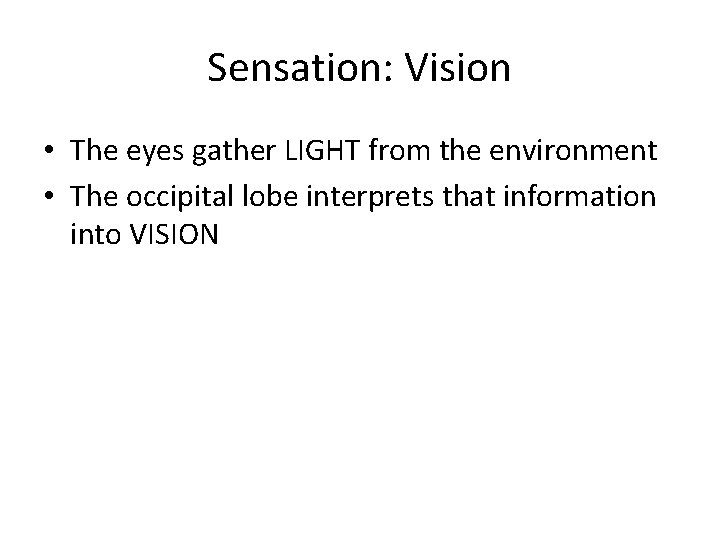 Sensation: Vision • The eyes gather LIGHT from the environment • The occipital lobe Sensation: Vision • The eyes gather LIGHT from the environment • The occipital lobe