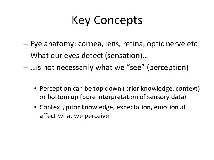 Key Concepts – Eye anatomy: cornea, lens, retina, optic nerve etc – What our Key Concepts – Eye anatomy: cornea, lens, retina, optic nerve etc – What our
