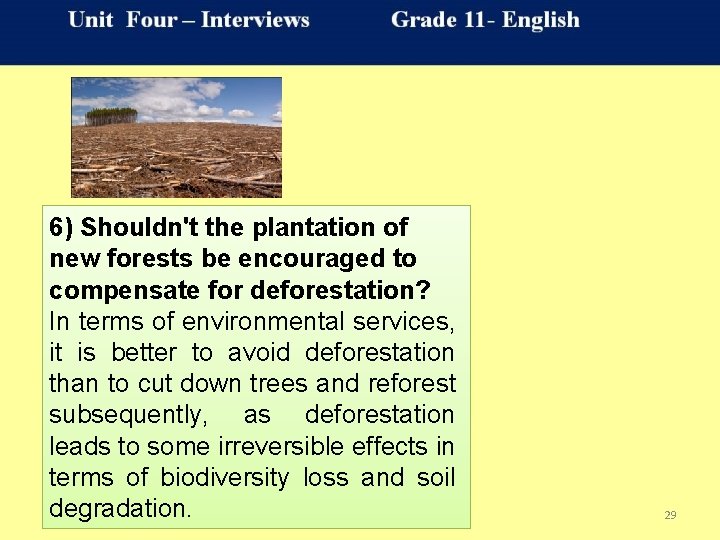 6) Shouldn't the plantation of new forests be encouraged to compensate for deforestation? In