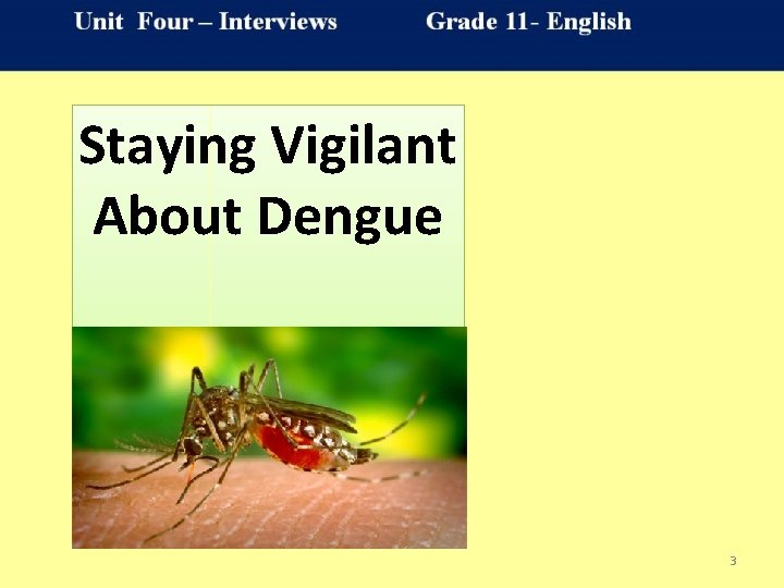 Staying Vigilant About Dengue 3 