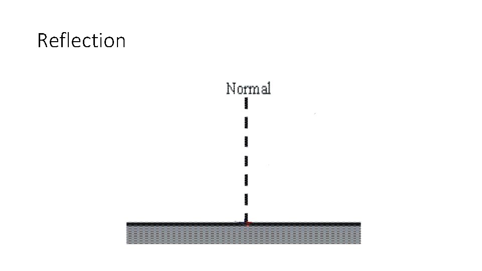 Reflection 