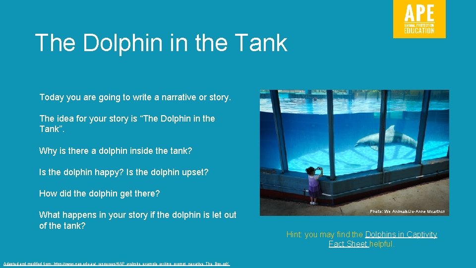 The Dolphin in the Tank Today you are going to write a narrative or